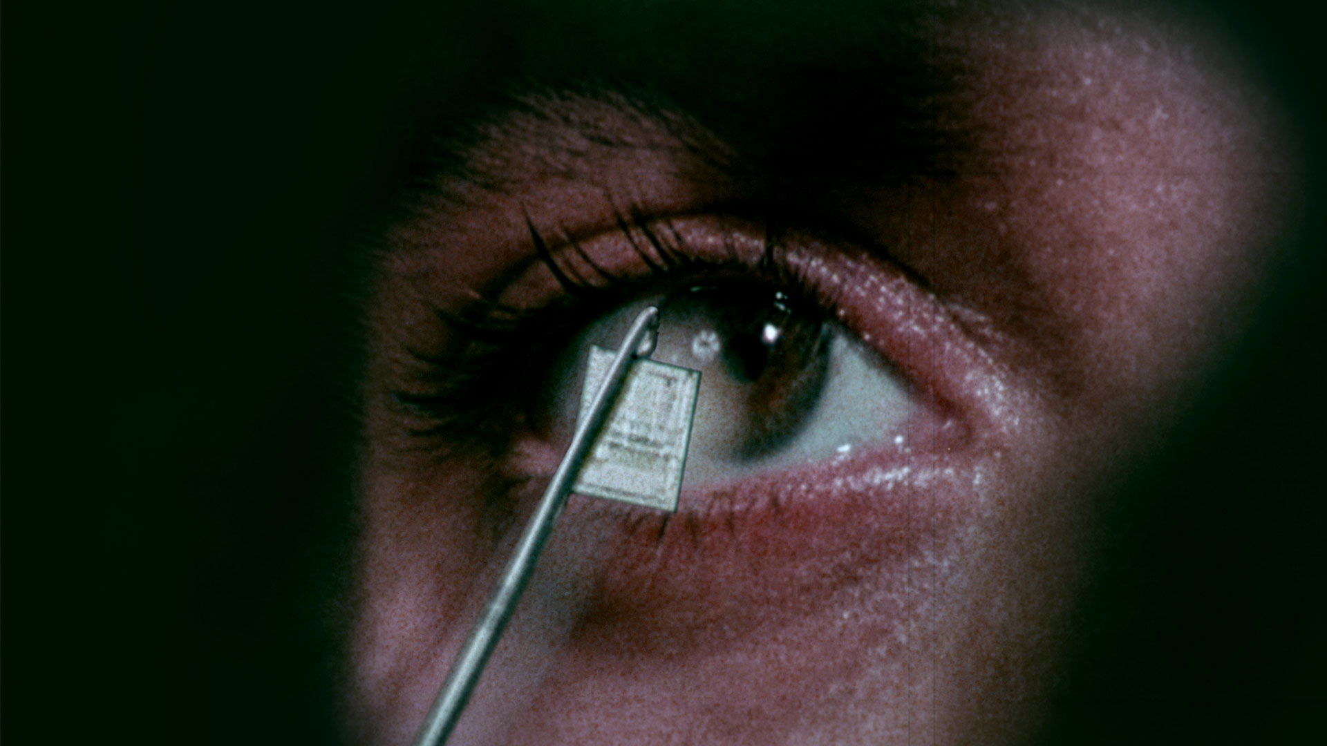 Gastveranstaltung: GHOST IN THE MACHINE (OmeU)